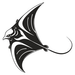 black and white bird