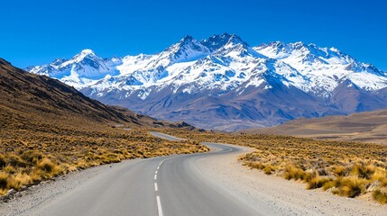 Fototapeta premium Scenic Winding Road Through Andean Mountains High Altitude Landscape Patagonian Andes