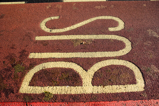 Close-up of red painted asphalt with the word BUS in bold white letters, illustrating public transportation signage, road texture and graphic elements in transit systems.