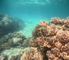 Great Barrier Reef, Australia