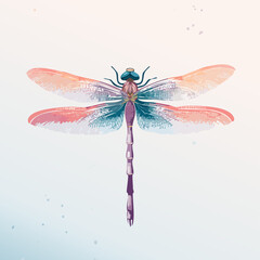 Elegant watercolor dragonfly with translucent pink and teal wings, viewed from above.