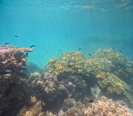 Great Barrier Reef, Australia
