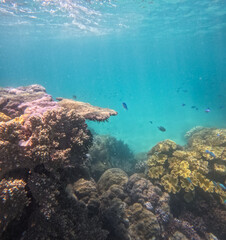 Great Barrier Reef, Australia