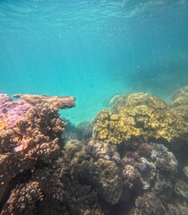 Great Barrier Reef, Australia