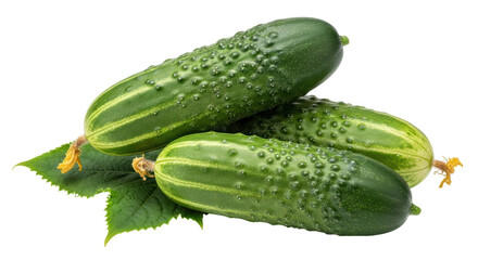 Isolated Three Fresh Cucumbers