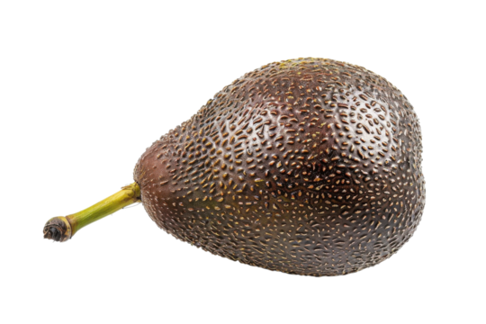 Unique avocado variety showcasing distinctive texture and shape against a white background