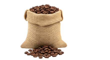Isolated Coffee Beans in Burlap Sack