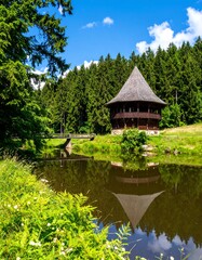 Wooden gazebo by tranquil lake in forest