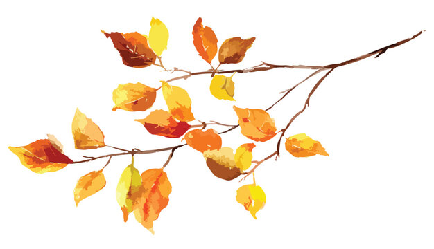 Autumn leaves on tree branch, watercolor illustration, isolated on white background