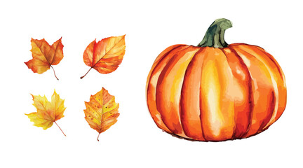 Set of pumpkin and autumn leaves, watercolor illustration, isolated on white background