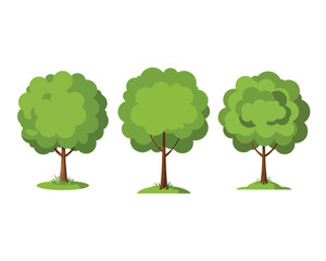 Fototapeta premium Set of Three Lush Summer Trees with Grass Base on White Background for Nature or Design Use