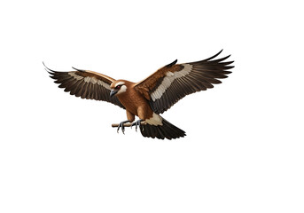 Obraz premium Detailed illustration of a bird in flight against a black background.