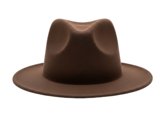 Close-up of a brown fedora hat.