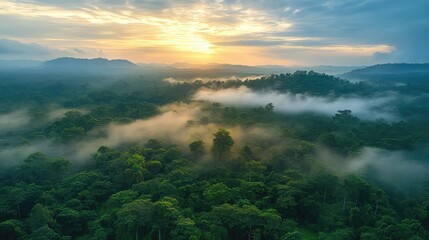 Forest preservation programs reduce deforestation protect water sources and maintain biodiversity through natural resource conservation supporting environmental resilience