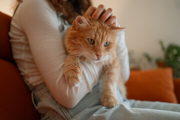 Young woman sitting on a comfortable sofa, gently stroking her ginger cat, enjoying a peaceful moment at home, creating a warm and cozy atmosphere