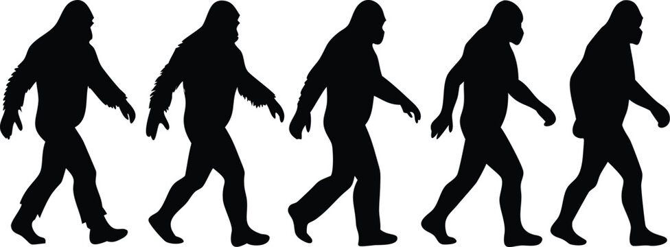 Monkey Vector Silhouette &ndash; Playful, Climbing, Sitting, and Hanging Monkey Graphics for Jungle Themes, Wildlife Art, Kids Designs, Logos, and Educational Use

