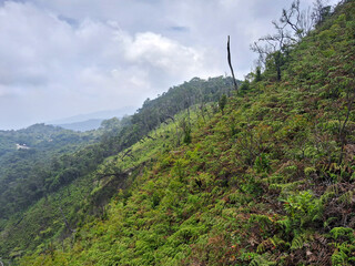 Garden Roof Top Sunan Ibu, Amazing view of the volcanic crater lake with turquoise water, surrounded by steep rocky cliffs and lush green vegetation