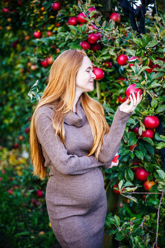 Pregnant woman with red hair in apple orchard