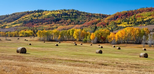 Obraz premium autumn landscape in the mountains