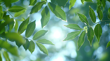 green leaves on a sunny day
