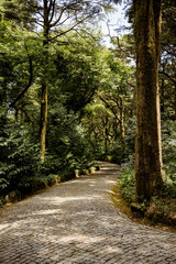 Lissabon Sintra, Parque Nacional da Pena