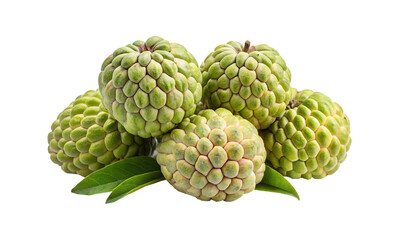 Fototapeta premium Heap of Fresh and Ripe Sugar Apples with Green Leaves on White