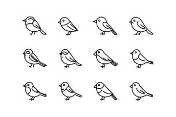 Feathered Trio: A captivating collection of twelve charming avian illustrations, offering a delightful display of delicate lines and intricate details.  