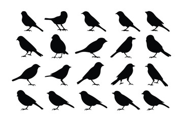 Silhouette Songbirds: A collection of various songbird silhouettes.