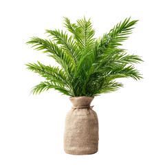 Obraz premium Green palm fronds in a jute sack vase