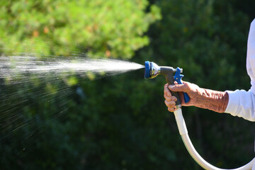Hand watering a garden with a hose. Water being sprayed out of a hose nozzle