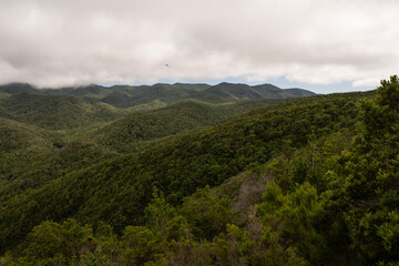 Paisaje natural de La Gomera con laderas verdes y mar al fondo