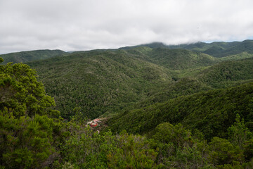 Paisaje natural de La Gomera con laderas verdes y mar al fondo