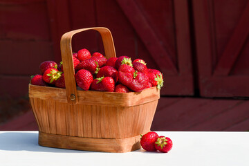 A basket of fresh picked ripe strawberries displayed on a white table with red barn doors in the background