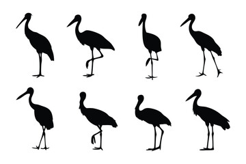 Obraz premium Stork Silhouette Variations: A collection of stork silhouettes, elegantly captured, showcasing various stances and postures of the bird. 