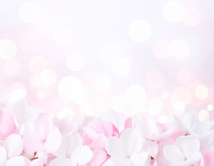Soft Pink and White Bokeh Lights on Gentle Pastel Background

