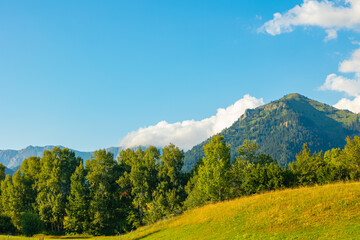 Fototapeta premium Rural background. Forest with meadow and mountains in the background