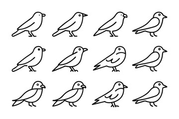Bird Lineup: A series of twelve simple line drawings showcases the graceful form of a small bird. The minimalist style accentuates the creature's delicate features.