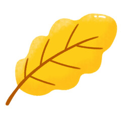 Fototapeta premium yellow leaf autumn fall dry maple isolated on white clipart png transparent illustration