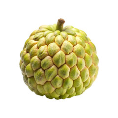 Fototapeta premium Exotic Green Custard Apple Fruit Isolated on White Background, Detailed Texture