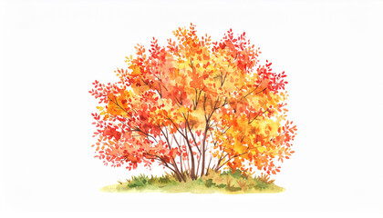 Watercolor painting of autumn bush on white background. Fall season. Botanical art. Hand drawn art