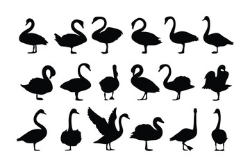 Elegant Swan Silhouette Collection: A captivating arrangement of swan silhouettes, each capturing the grace and poise of these majestic birds in various poses and stances.