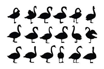 Swan Silhouettes: An array of elegant swan silhouettes, perfectly illustrating the grace and poise of these majestic creatures. showcasing their form. 