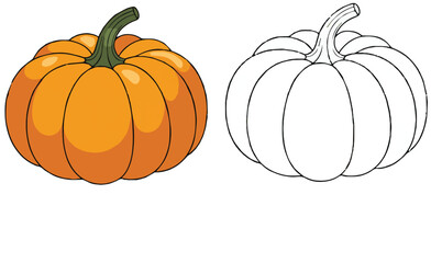 pumpkin isolated on white