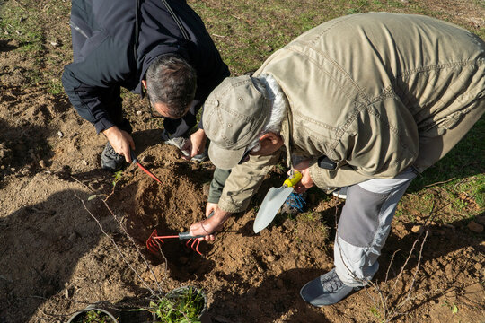 Family planting trees in urban park for sustainability