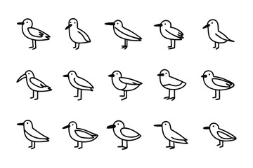 Line Drawing of Diverse Birds: A delightful assortment of minimalist bird illustrations in a clean, contemporary line art style, perfect for any design