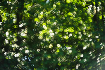 Zielone tło, naturalna tekstura z rozmytych liści, bokeh w postaci kółek. 