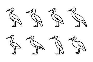 Fototapeta premium Ibis Illustration Set: A clean, minimalistic set of ibis illustrations, offering a versatile collection suitable for a wide range of design projects and uses. 