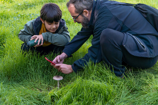 Father and Son Identifying Mushroom with Smartphone in Nature