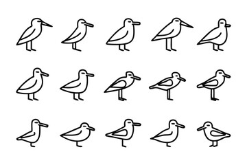 Seagulls Lineup: A carefully crafted illustration presents a variety of seagulls in different poses. The clean lines and uniform style give off a sense of harmony.