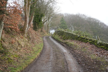 Misty country lane with mossy stone wall and bare winter trees in Eyam, The Peak District, England on a tranquil day